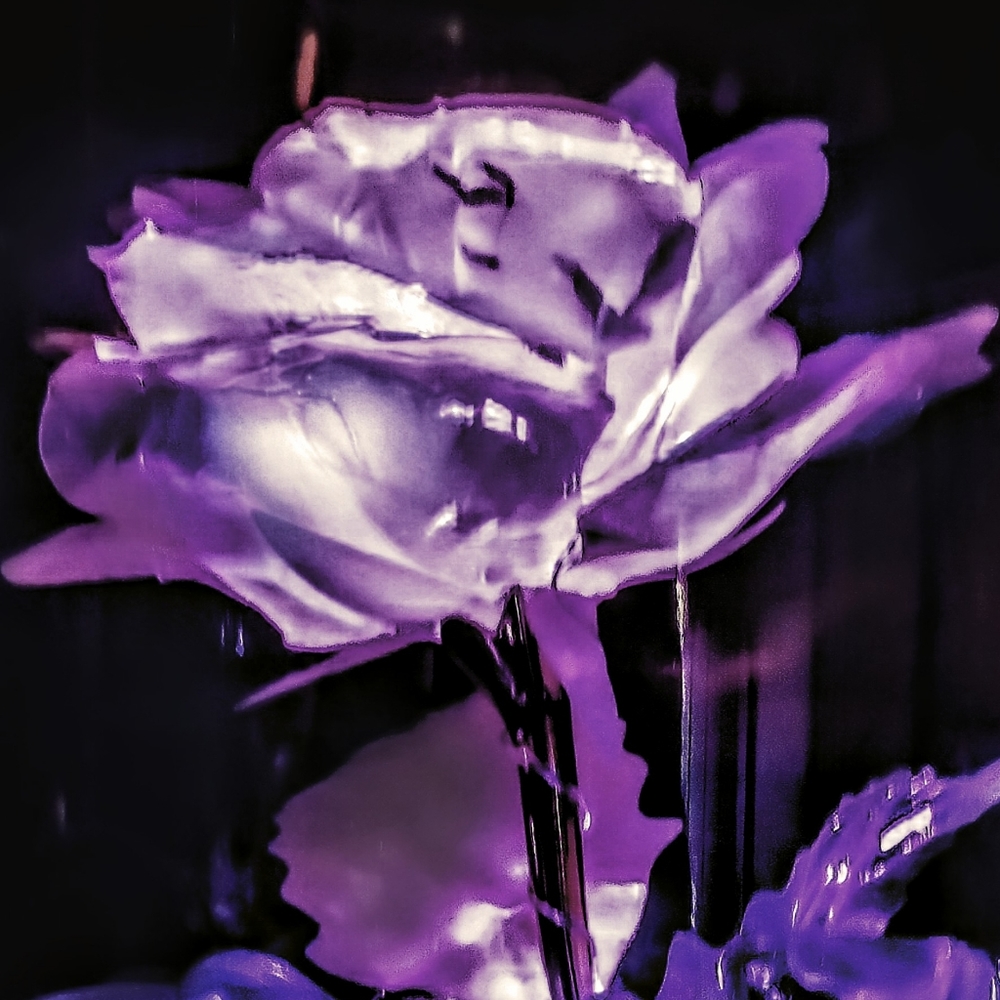 Flowers - Picture 4 of 7